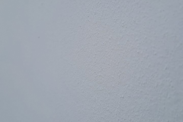 реставрационная покраска стен дома из жб панелей